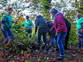 Seattle volunteers who adopted Kinnear Park and keep it green