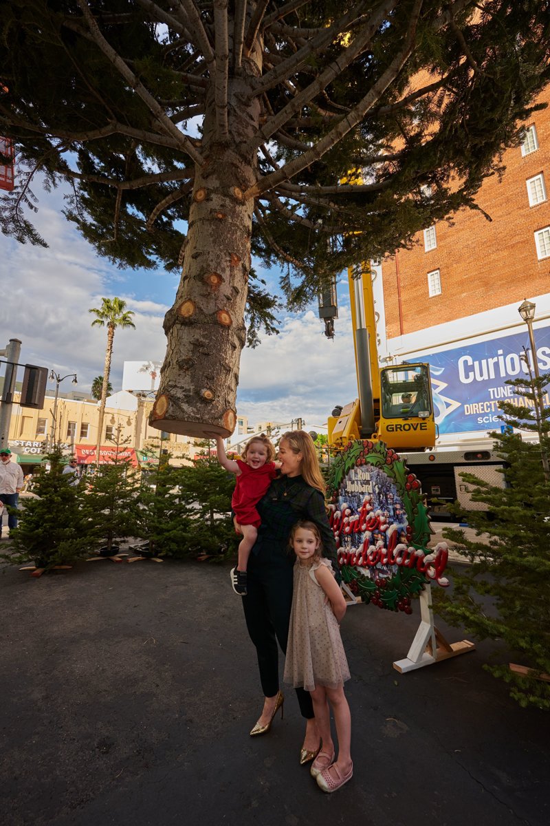 Award-winning actor Erika Christensen and her daughters welcome the arrival of the 60-foot white fir Christmas tree as it is craned into position at L Ron Hubbard’s Winter Wonderland on Hollywood Blvd.