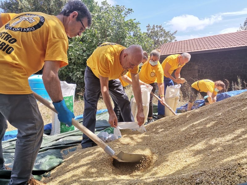 Scientology Volunteer Ministers helped local farmers by shoveled tons of barley into 150 55 pound sacks, enough to feed a cow for a week or a sheep for 4 to 5 weeks.