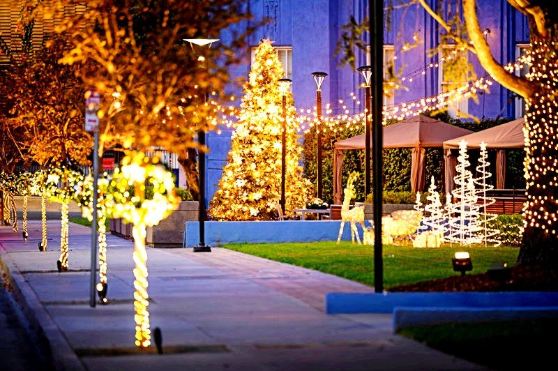 Join the Church of Scientology Los Angeles for the launch of the holiday season with the East Hollywood Lighting Festival on Nov. 19 at 8 p.m.