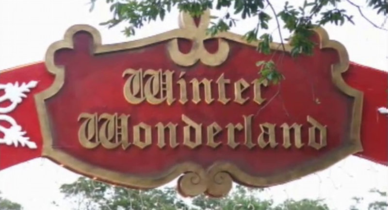 Winter Wonderland in Florida