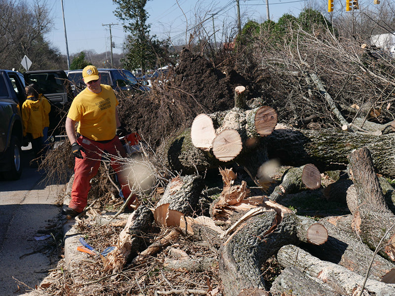 chopping up trees felled by the March 3 tornado
